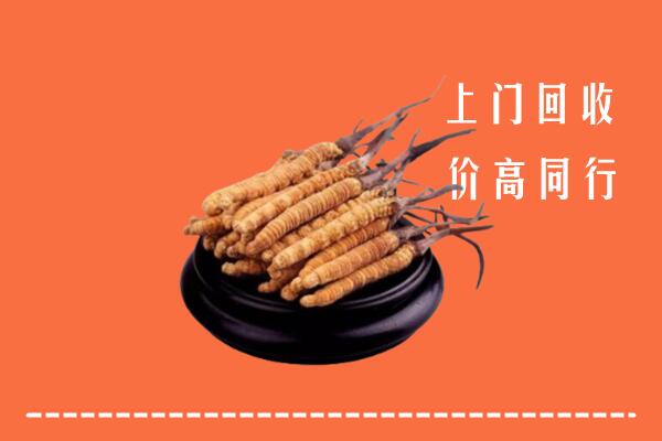 高价求购：安庆市回收散虫草