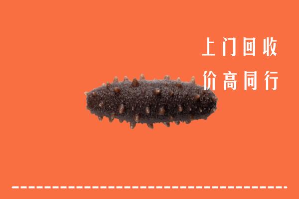 高价求购：安庆市回收海参
