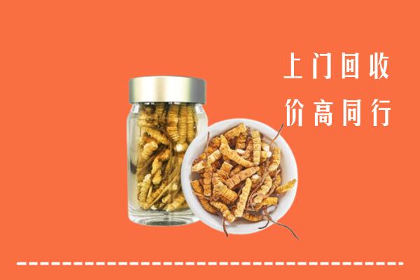 安庆市回收冬虫夏草